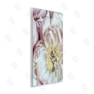 Dianne Poinski | Soft Flower Bloom Photograph