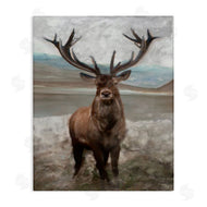 Stellar Studio | Moose Encounter Landscape