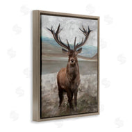 Stellar Studio | Moose Encounter Landscape