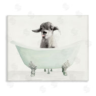 Stellar Studio | Baby Llama In A Tub