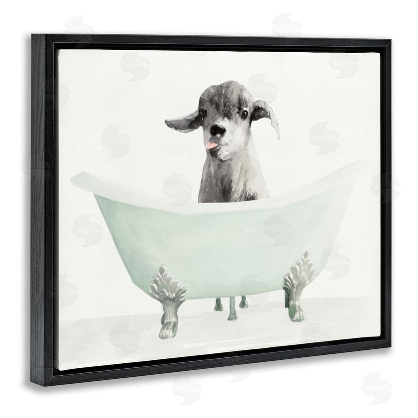 Stellar Studio | Baby Llama In A Tub