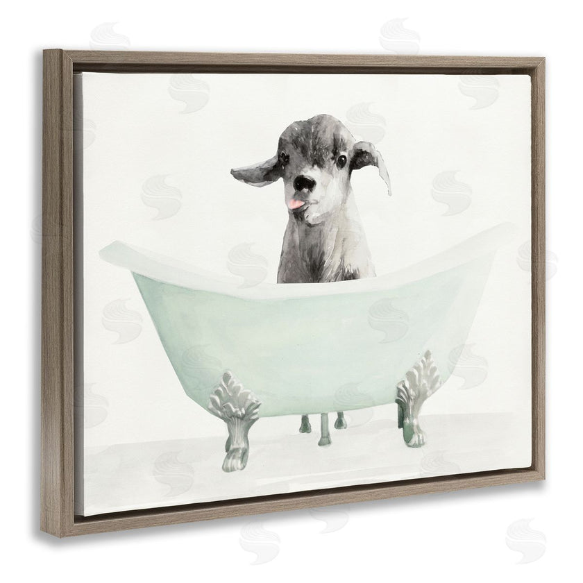 Stellar Studio | Baby Llama In A Tub