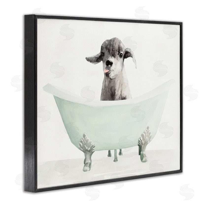Stellar Studio | Baby Llama In A Tub