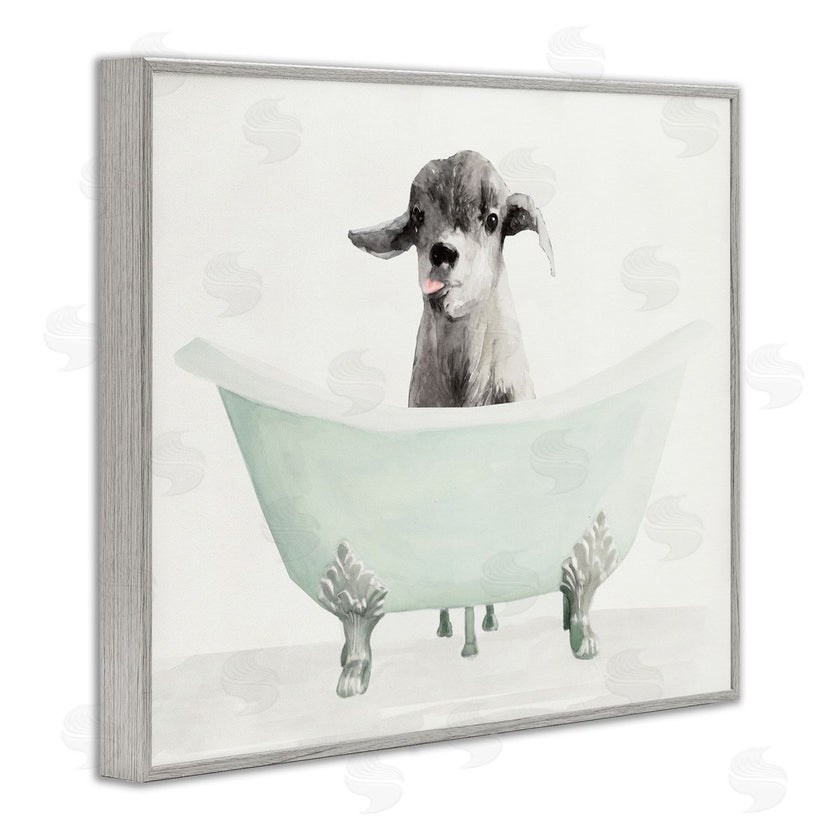 Stellar Studio | Baby Llama In A Tub