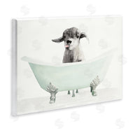 Stellar Studio | Baby Llama In A Tub