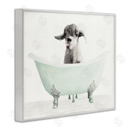 Stellar Studio | Baby Llama In A Tub