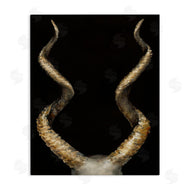 Dina D'Argo | Goat Horns Black Gold
