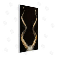 Dina D'Argo | Goat Horns Black Gold