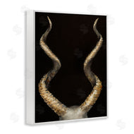 Dina D'Argo | Goat Horns Black Gold