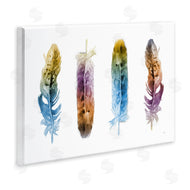 Patti Mann | Feathers In Watercolor