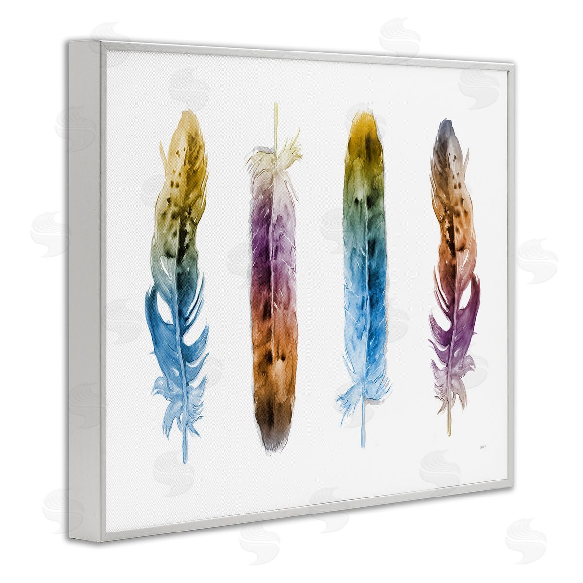 Feathers In Watercolor White Frame Print Wall Art, Home Decor by Patti Mann