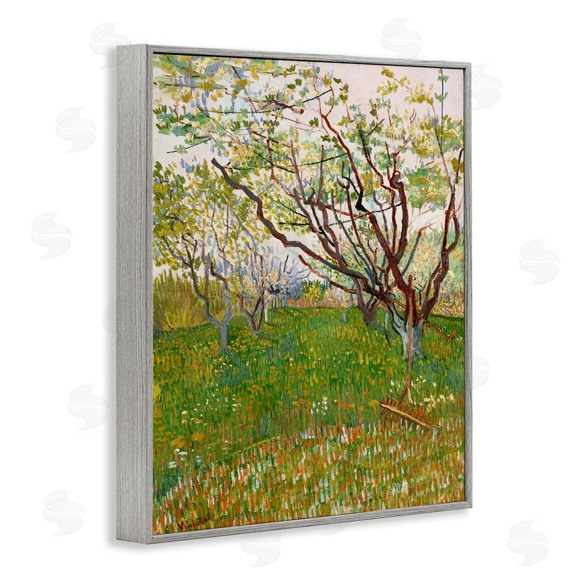 Vincent Van Gogh | The Flowering Orchard