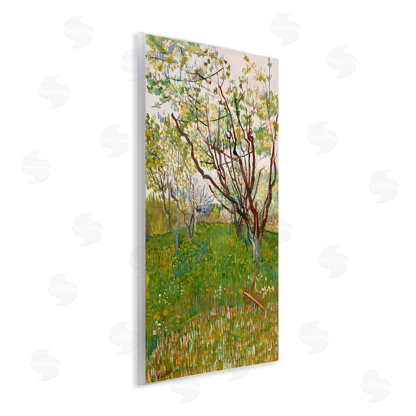 Vincent Van Gogh | The Flowering Orchard