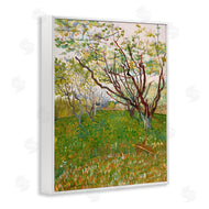 Vincent Van Gogh | The Flowering Orchard