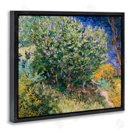 Vincent Van Gogh | Lilac Bush Classical Painting