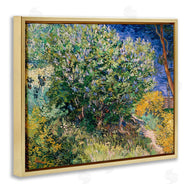 Vincent Van Gogh | Lilac Bush Classical Painting