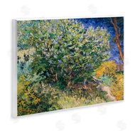 Vincent Van Gogh | Lilac Bush Classical Painting