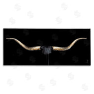 Dina D'Argo | Bull Horns Shadow Animal Painting