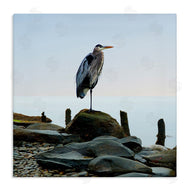 James McLoughlin | Beach Heron Ocean Bird
