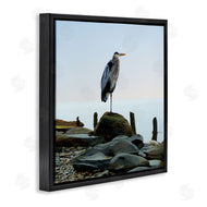 James McLoughlin | Beach Heron Ocean Bird