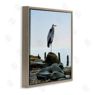 James McLoughlin | Beach Heron Ocean Bird