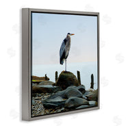 James McLoughlin | Beach Heron Ocean Bird