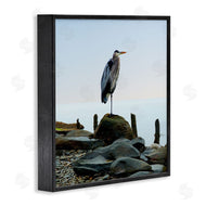 James McLoughlin | Beach Heron Ocean Bird