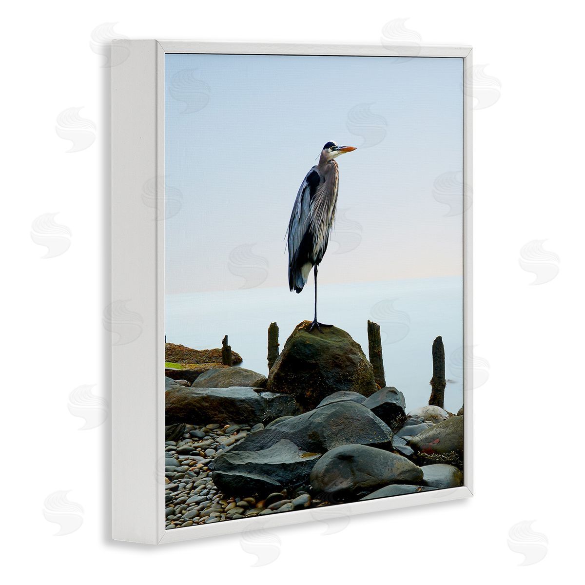 Beach Heron Ocean Bird White Frame Print Wall Art, Home Decor by James McLoughlin
