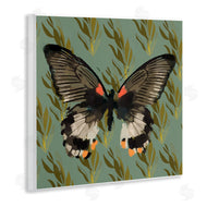 Karen Dreyfus | Butterfly On Gold Pattern