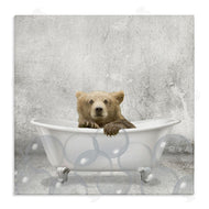 Kim Allen | Baby Bear Bath Time