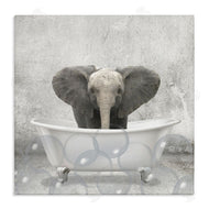 Kim Allen | Baby Elephant Bath Time