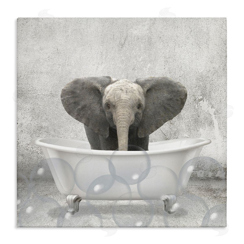 Kim Allen | Baby Elephant Bath Time