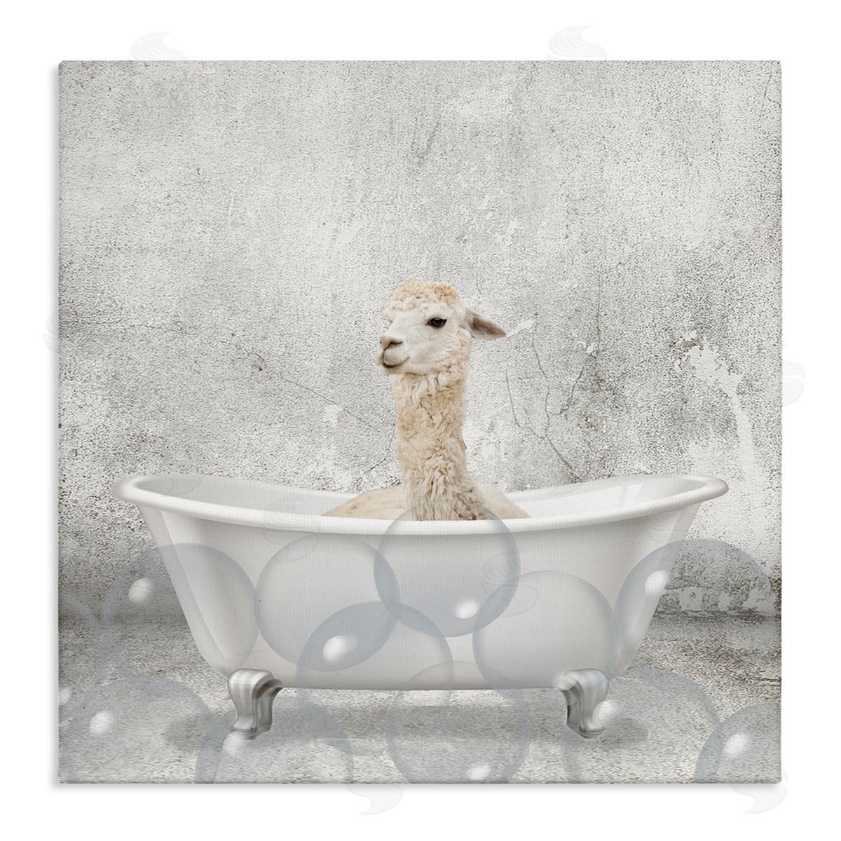 Baby Llama Bath Time Canvas Wall Art, Home Decor by Kim Allen