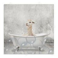 Kim Allen | Baby Llama Bath Time