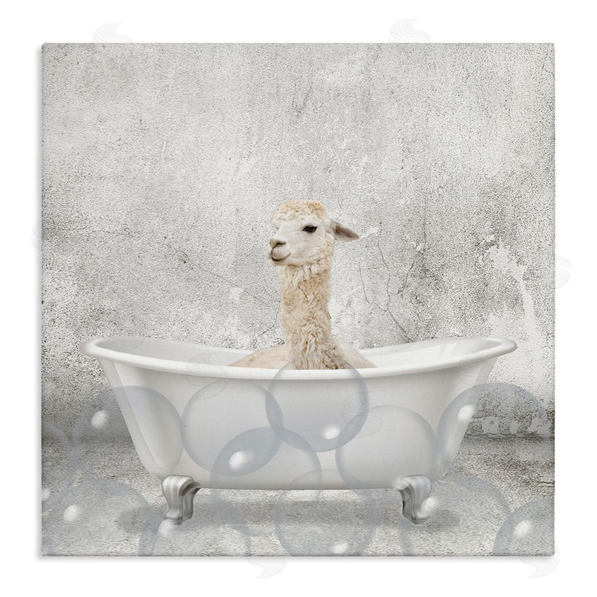 Kim Allen | Baby Llama Bath Time