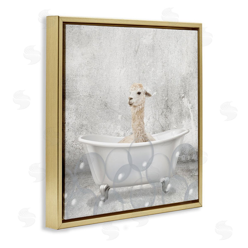 Kim Allen | Baby Llama Bath Time
