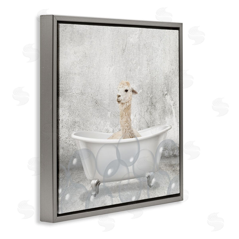 Kim Allen | Baby Llama Bath Time