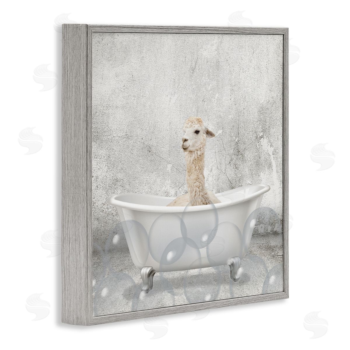 Baby Llama Bath Time Grey Frame Print Wall Art, Home Decor by Kim Allen