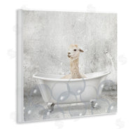 Kim Allen | Baby Llama Bath Time