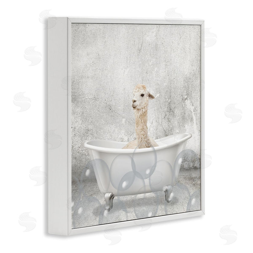 Kim Allen | Baby Llama Bath Time