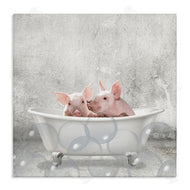 Kim Allen | Baby Piglets Bath Time