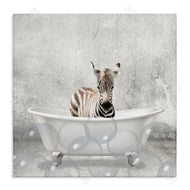 Kim Allen | Baby Zebra Bath Time