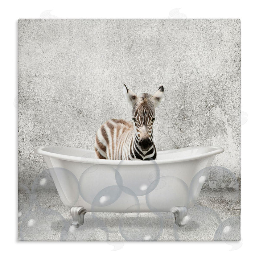 Kim Allen | Baby Zebra Bath Time