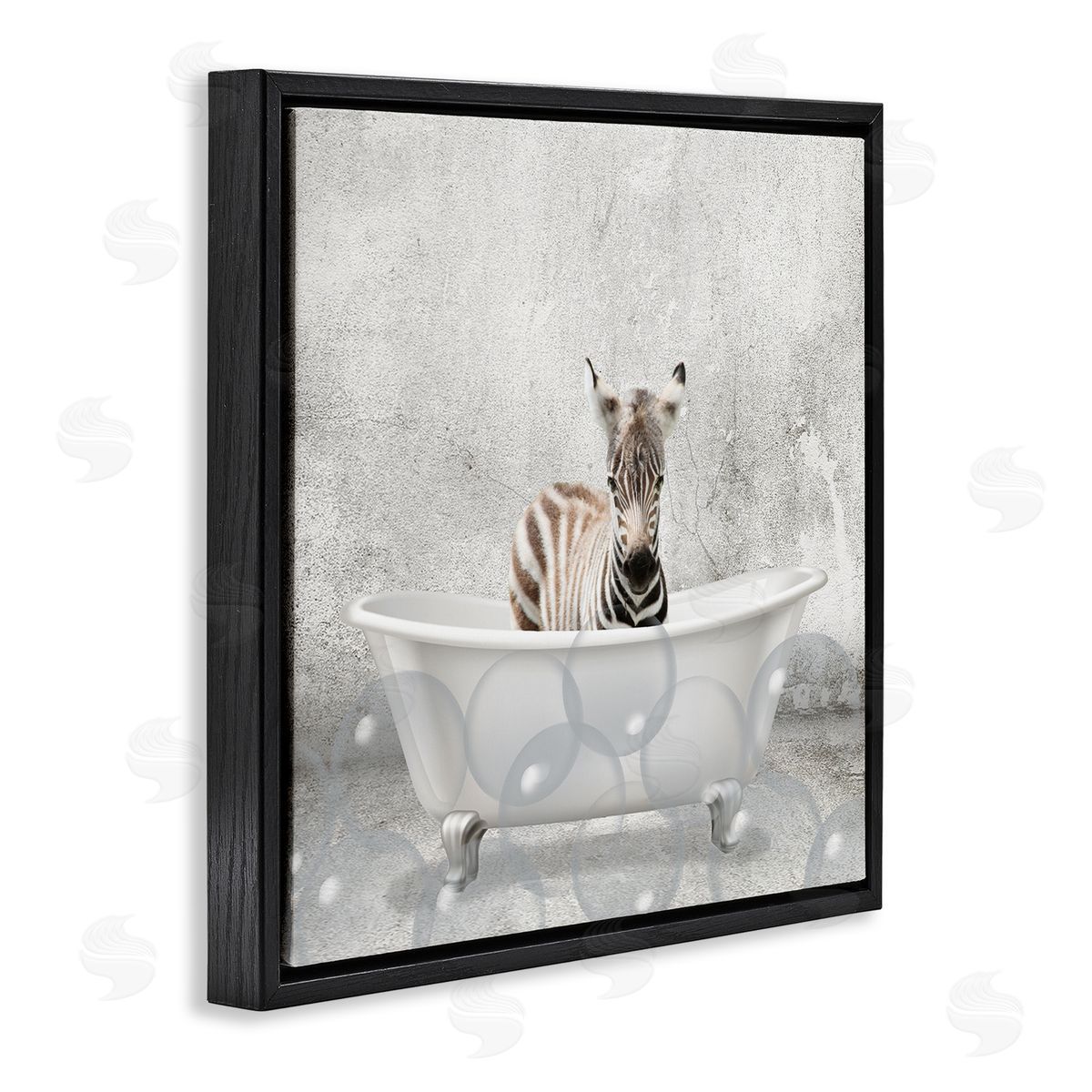 Baby Zebra Bath Time Black Floating Frame Canvas Wall Art, Home Decor by Kim Allen
