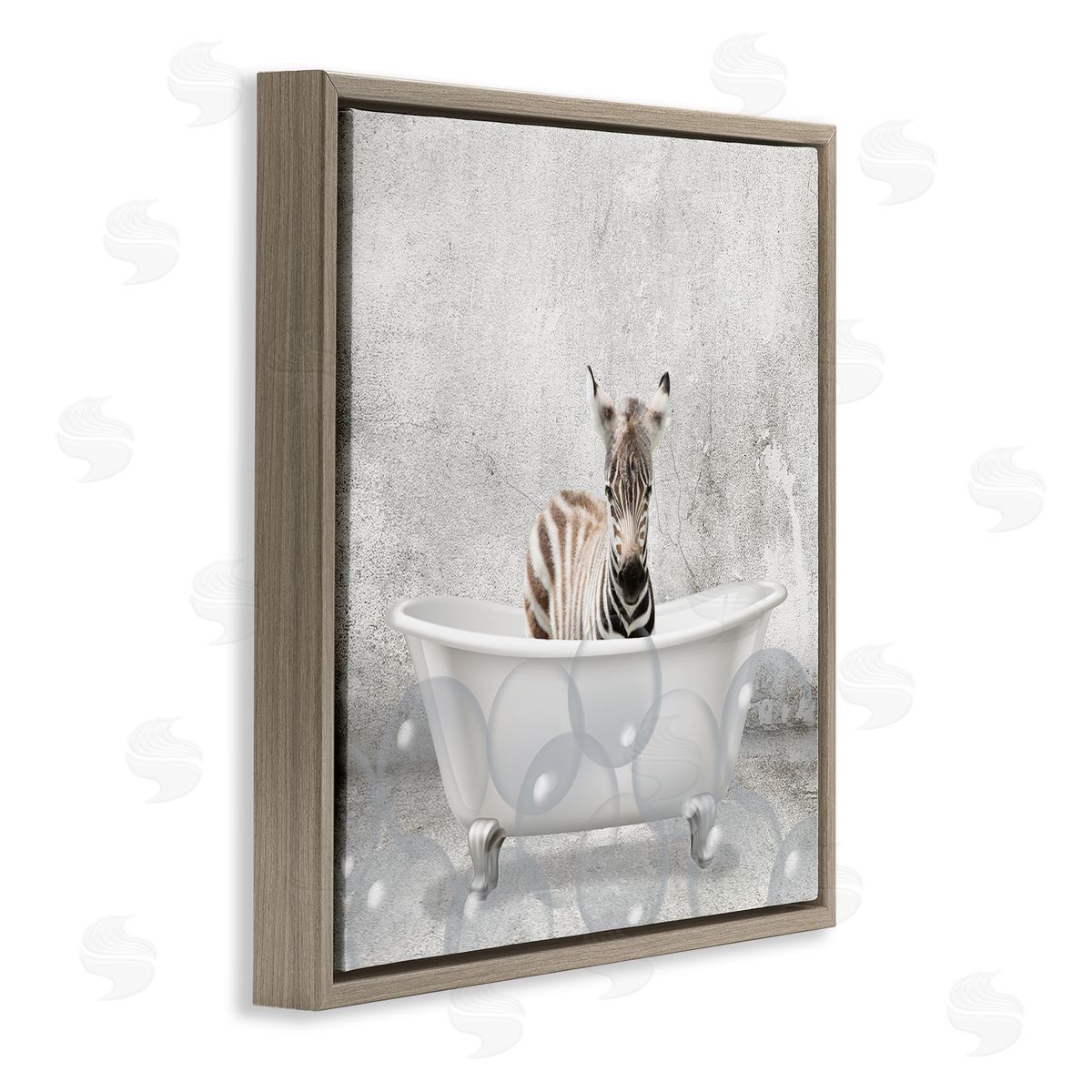 Baby Zebra Bath Time Brown Floating Frame Canvas Wall Art, Home Decor by Kim Allen
