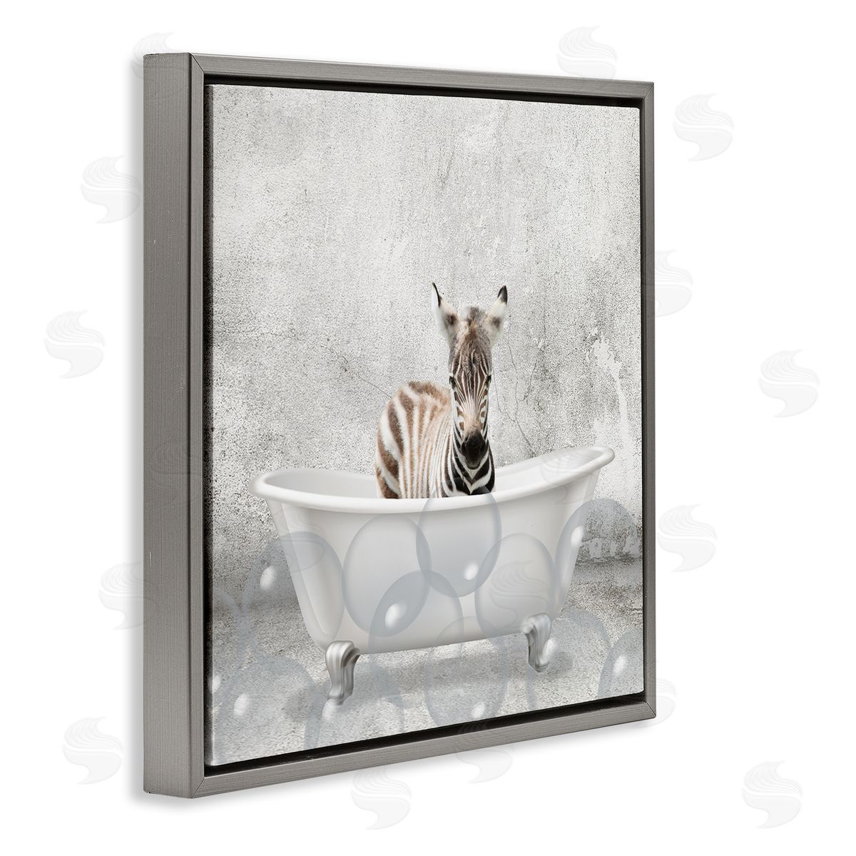 Baby Zebra Bath Time Grey Floating Frame Canvas Wall Art, Home Decor by Kim Allen