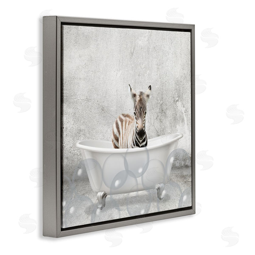 Kim Allen | Baby Zebra Bath Time