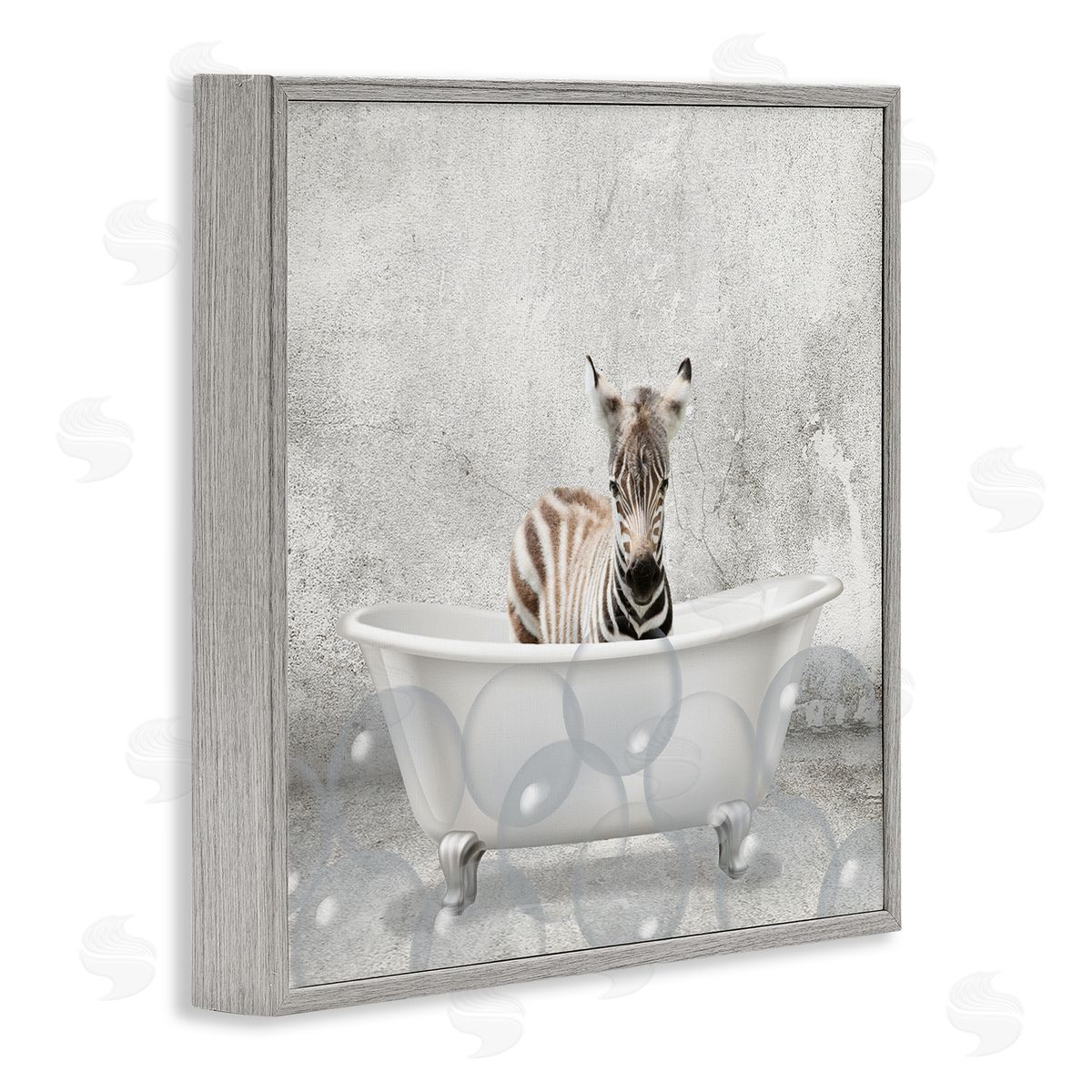 Baby Zebra Bath Time Grey Frame Print Wall Art, Home Decor by Kim Allen