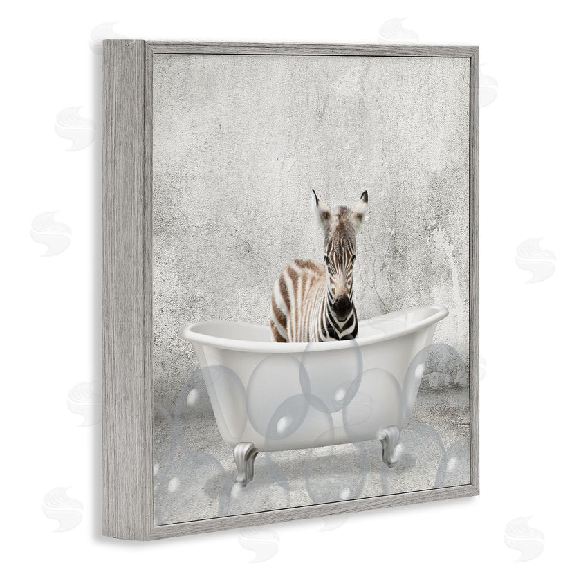 Kim Allen | Baby Zebra Bath Time