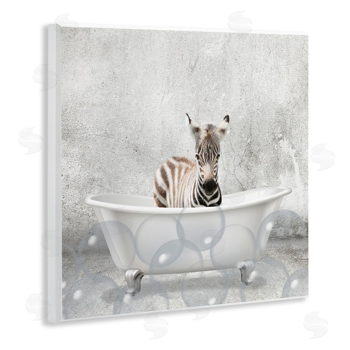Baby Zebra Bath Time Wood Plaque Wall Art, Home Decor by Kim Allen